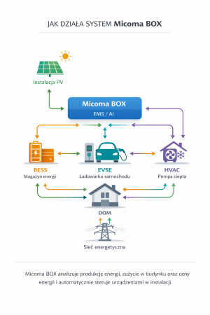 Co to jest EMS i jak działa Micoma BOX