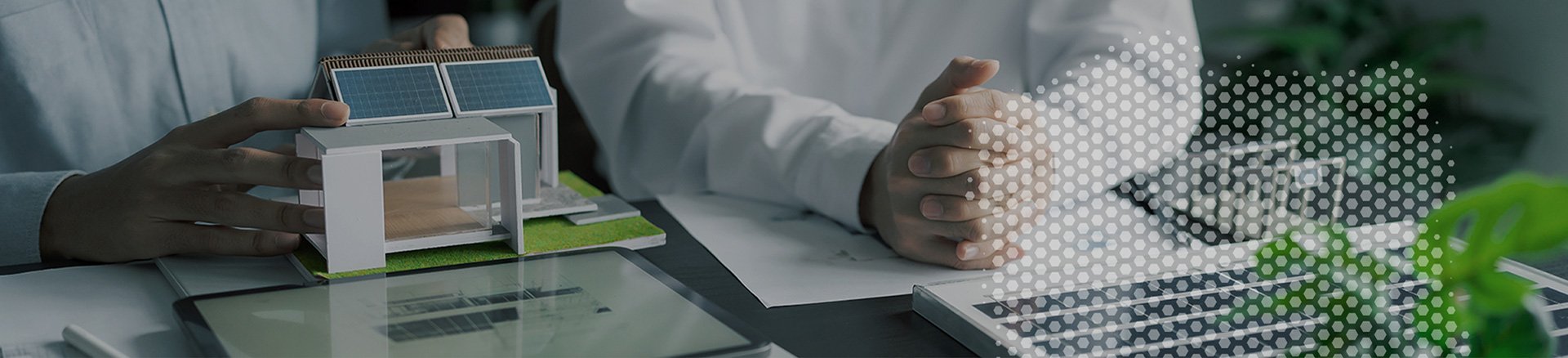 Gdzie kupić Micoma?